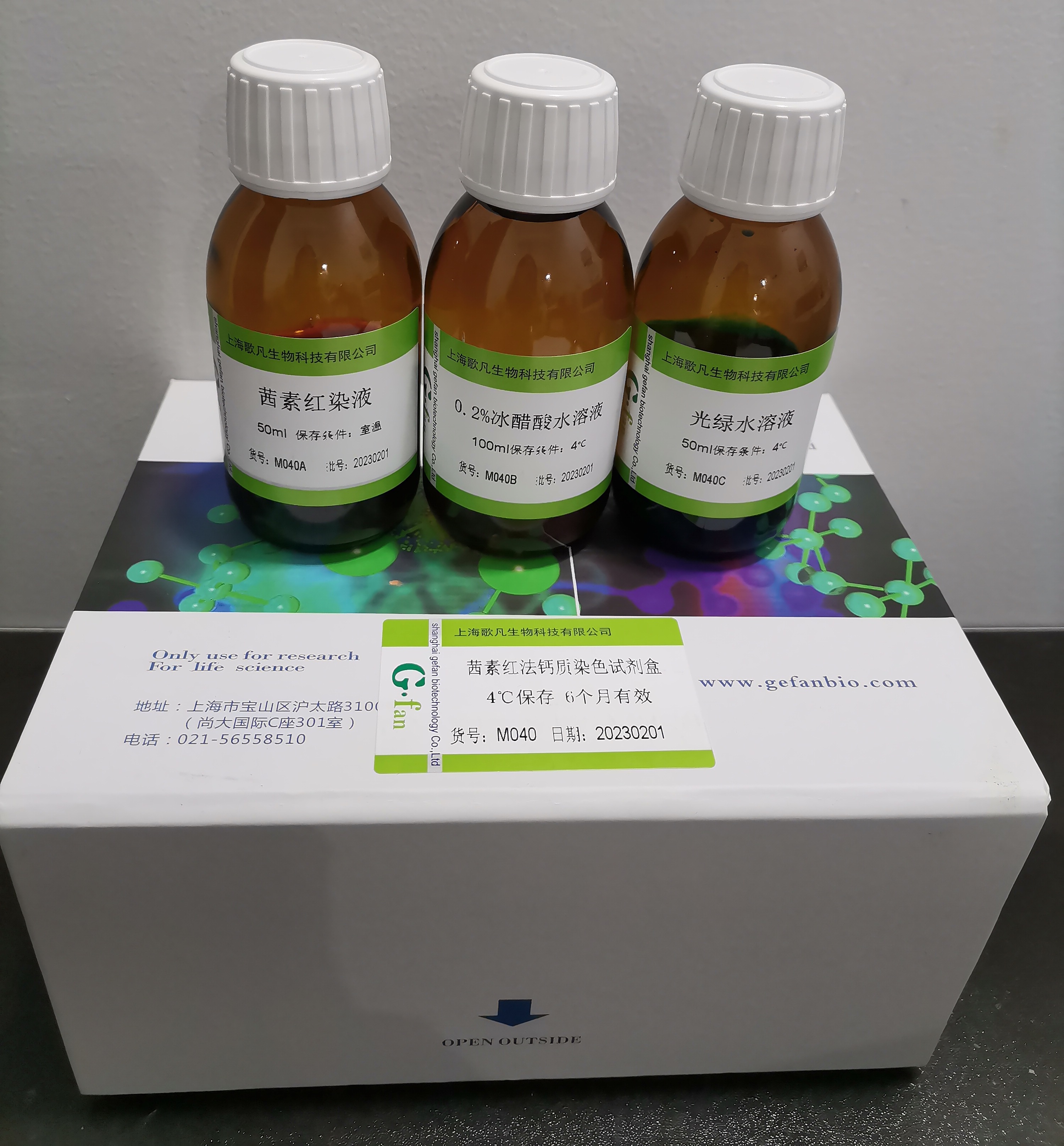 黑色素染色试剂盒