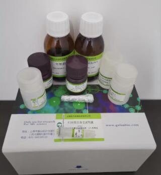 DNA FISH 原位杂交试剂盒说明书