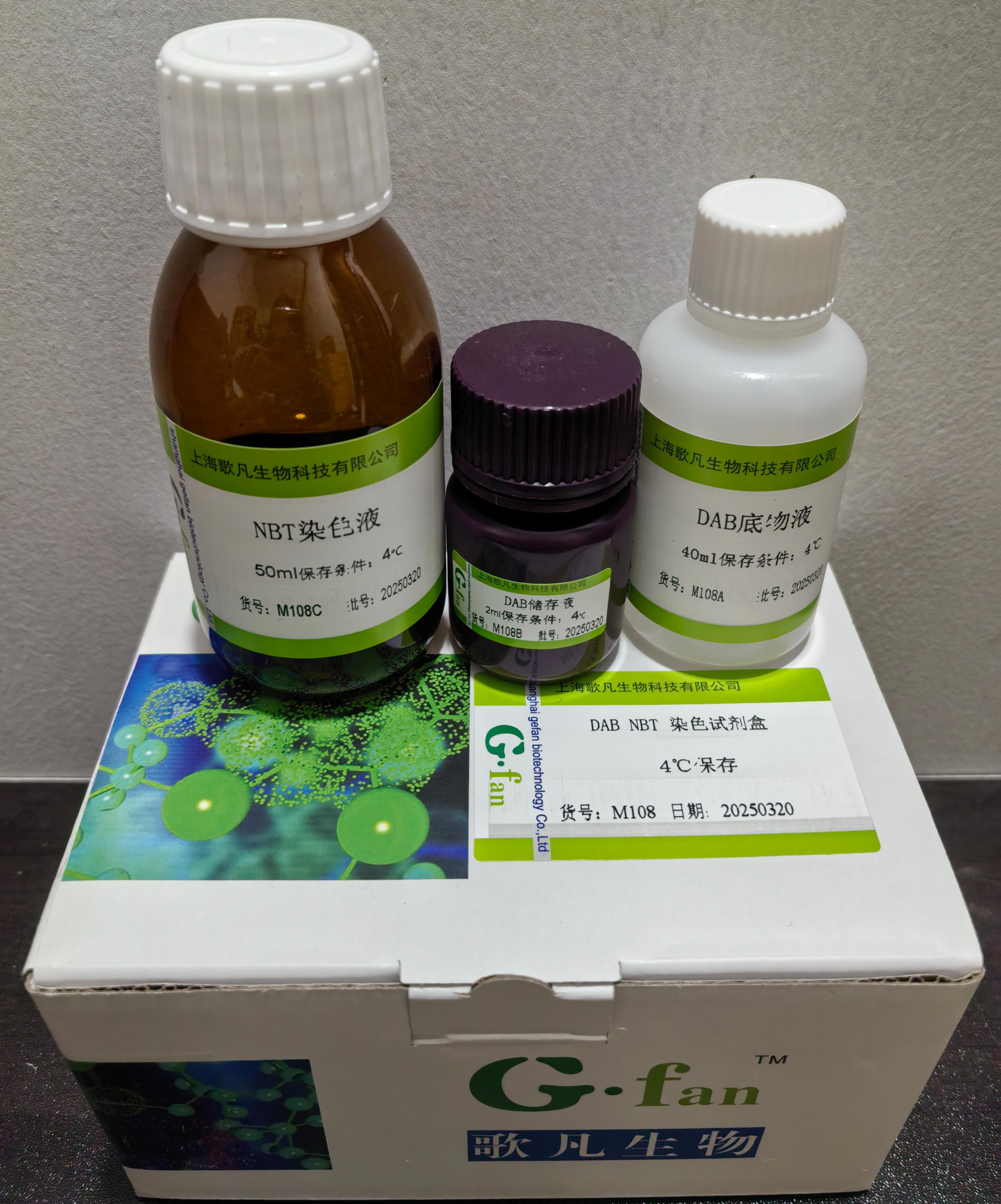 DAB NBT染色试剂盒