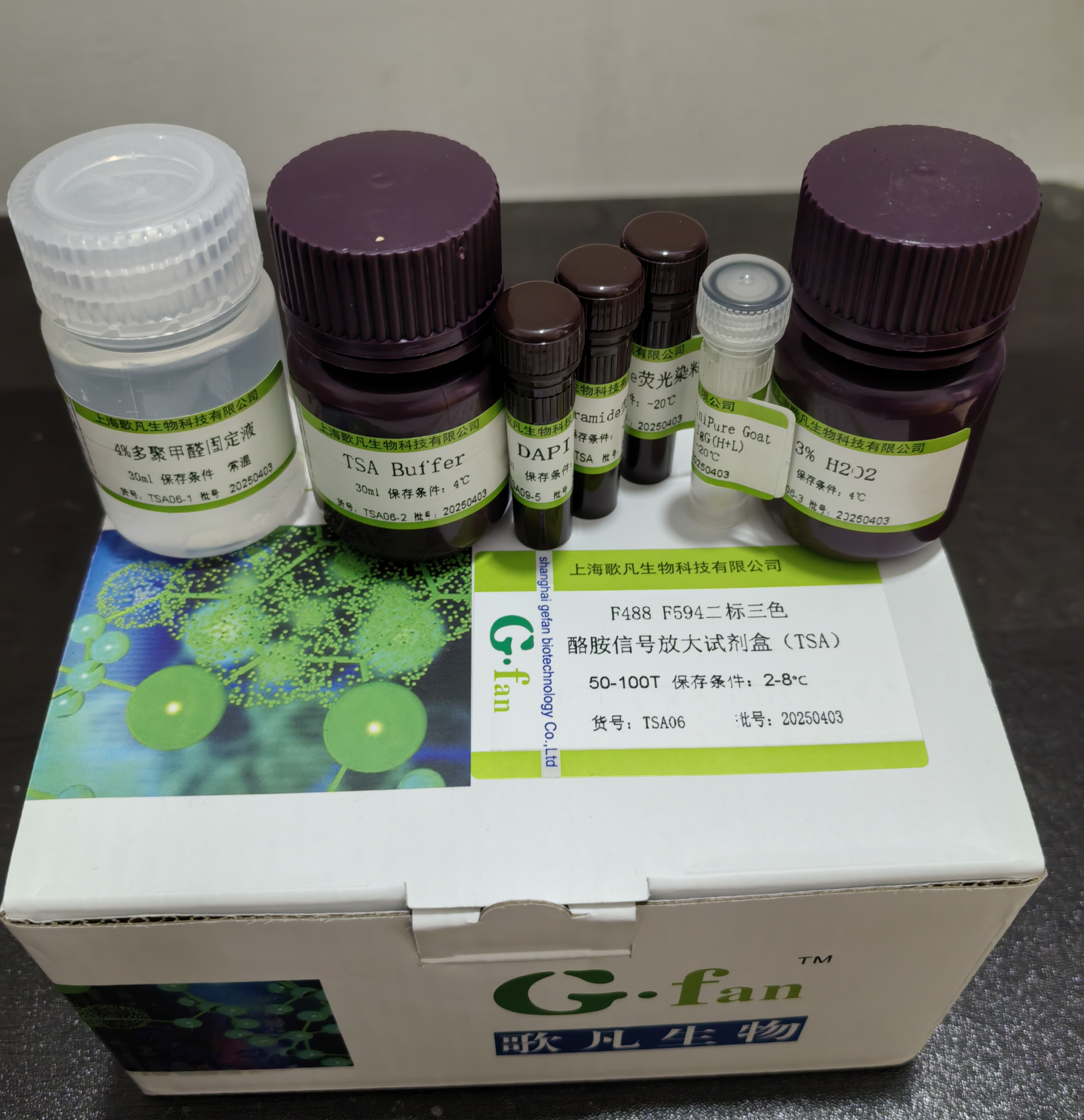 F488 F555二标三色 酪胺信号放大试剂盒（TSA）